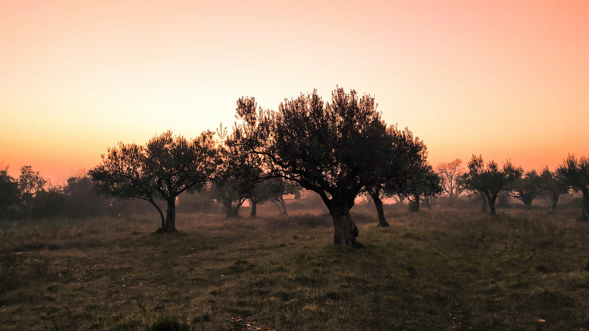 valbonne-peyniblou.jpg